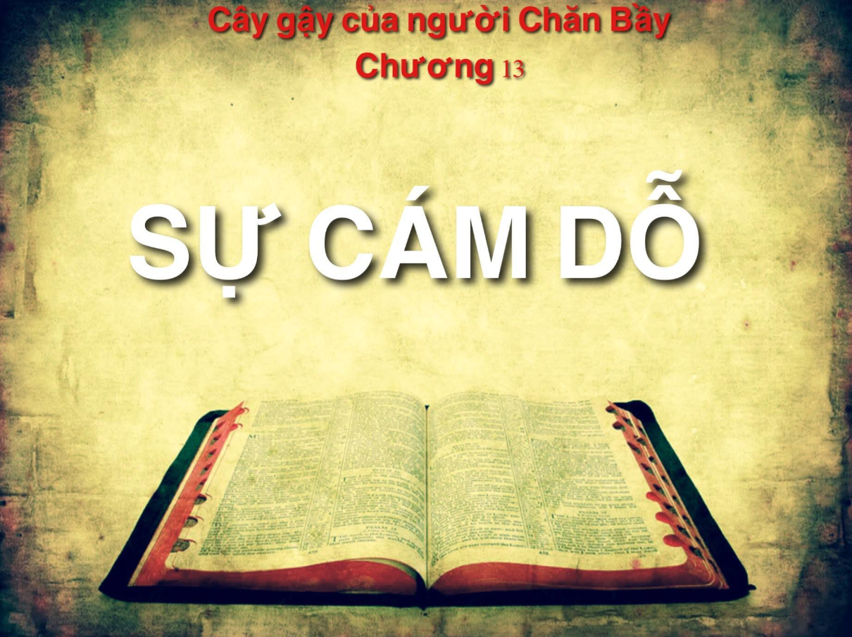 caygaycuanguoichanbaychuong13 1210x905