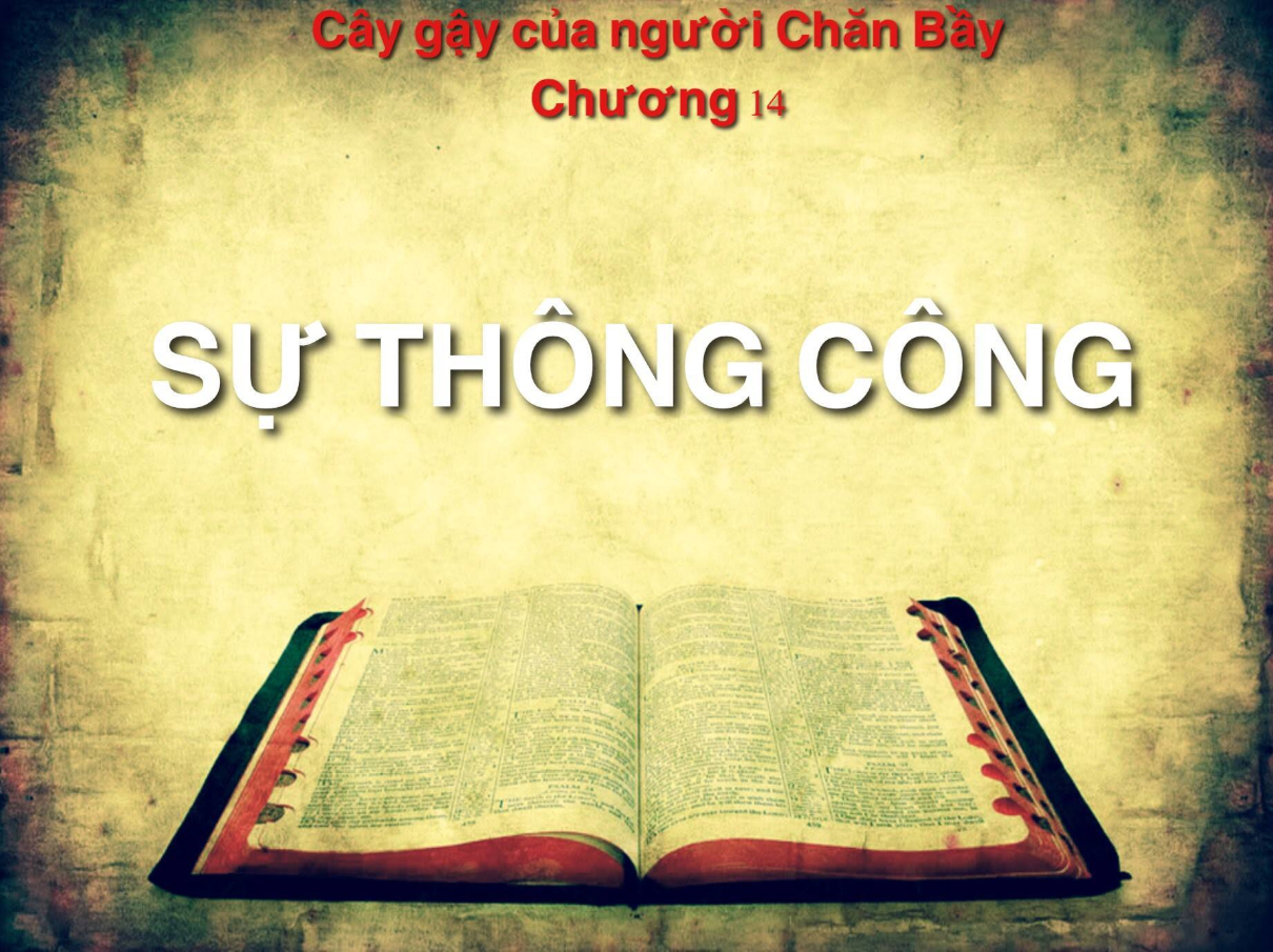 caygaycuanguoichanbaychuong14 1210x905