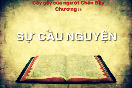 caygaycuanguoichanbaychuong18 435x290 1