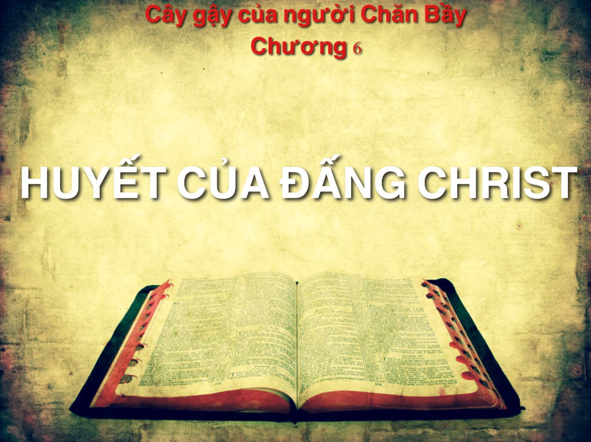 caygaycuanguoichanbaychuong6 1210x905
