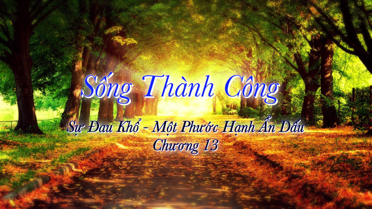 songthanhcong13 1210x680